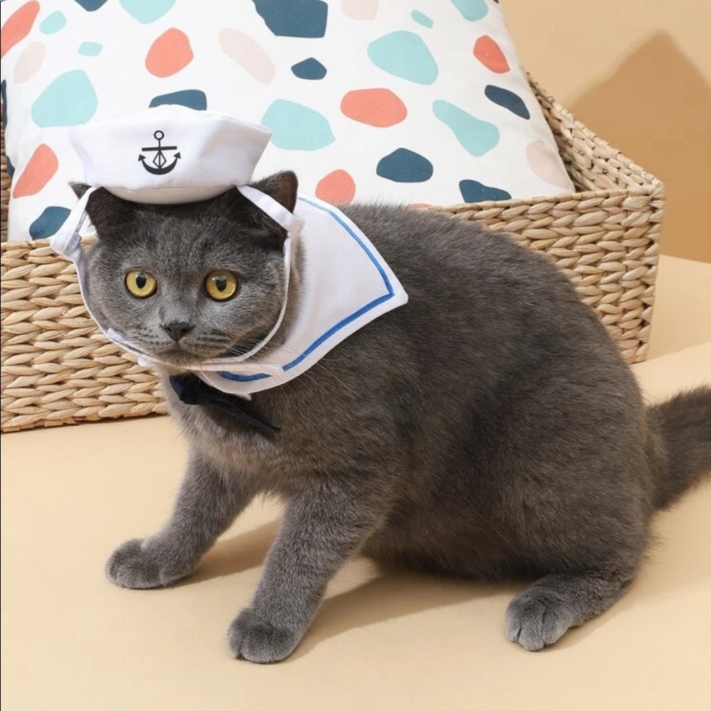 Meet your Posher, Helen